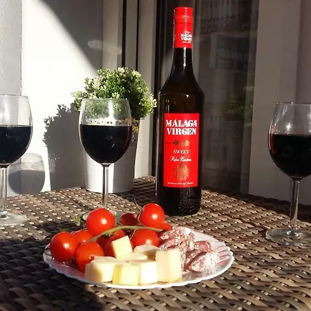 公寓 Apartamento Ana La Carihuela 托雷莫利诺斯